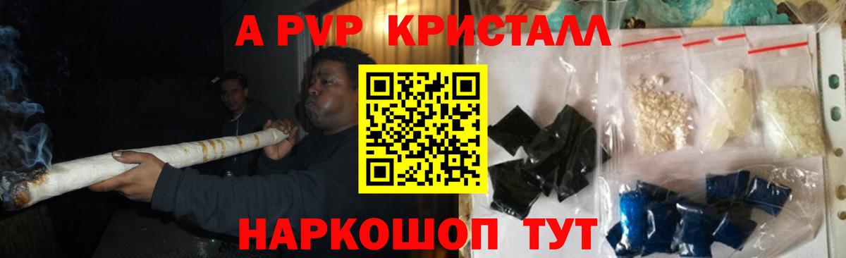 A PVP СК Братск