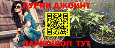 стаф Аргун